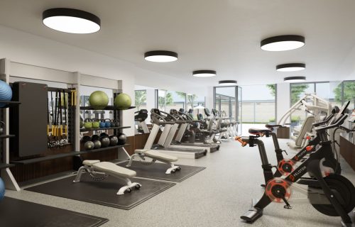 gym gym